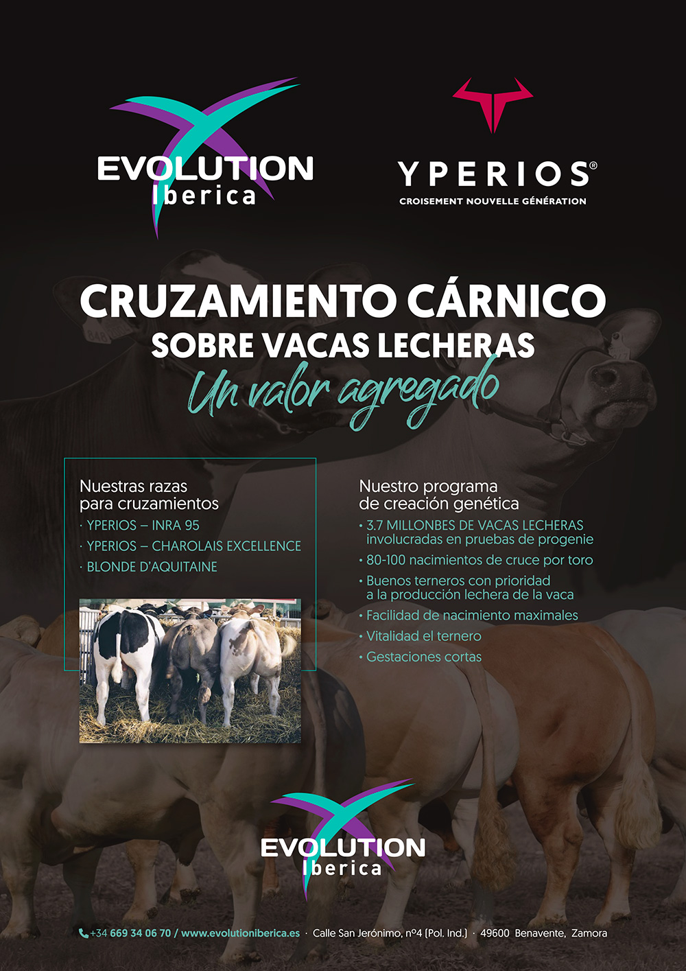 EVOLUTION-(leche34)-Contraportada_ver3